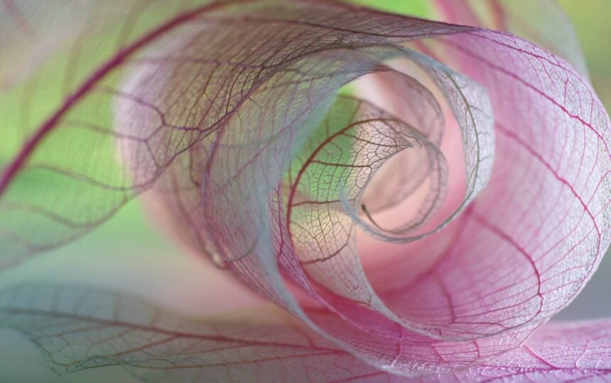 Journal Citation Reports 2025: Addressing retractions and strengthening research integrity