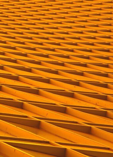 GENESEQ Coverage of biological sequences from worldwide patents