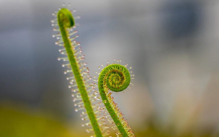 Biotech financing’s rebound: How high will it go?