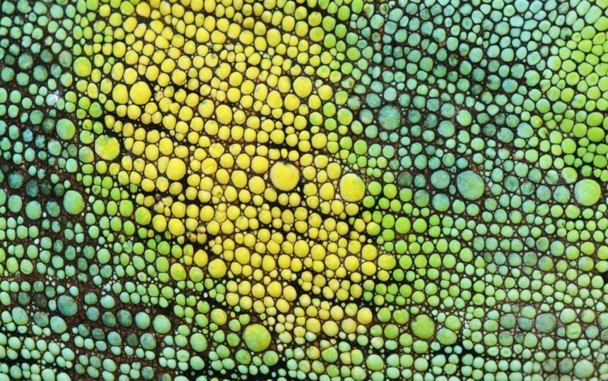 Mind the gap: Using advanced analytics to find and fill the holes in real world data