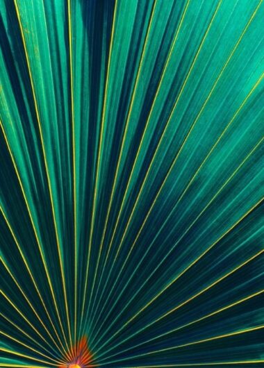 클래리베이트 Real-World Data기반의 새로운 생명과학 분석 제품 ‘DRG Fusion’출시