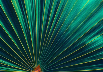 Informing and showcasing researchers’ projects and impact case studies