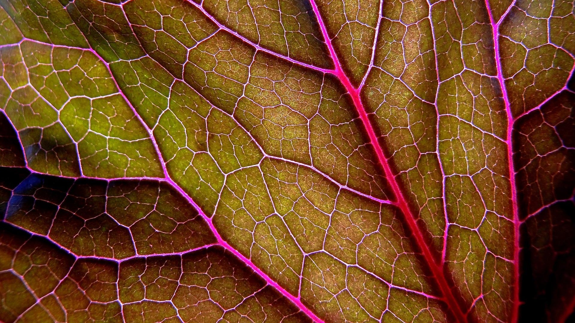 A decade of innovation, a decade to come