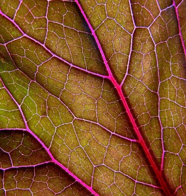 A decade of innovation, a decade to come