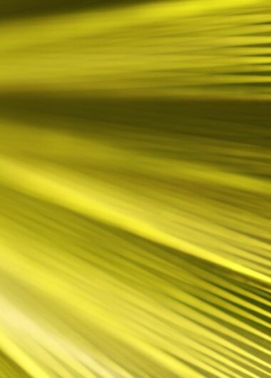 What’s new in Brand IP 2025