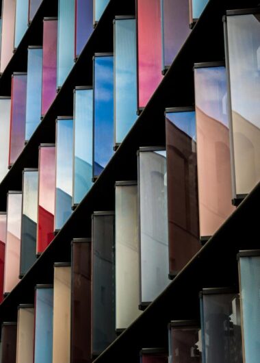 The value of digitizing archival collections