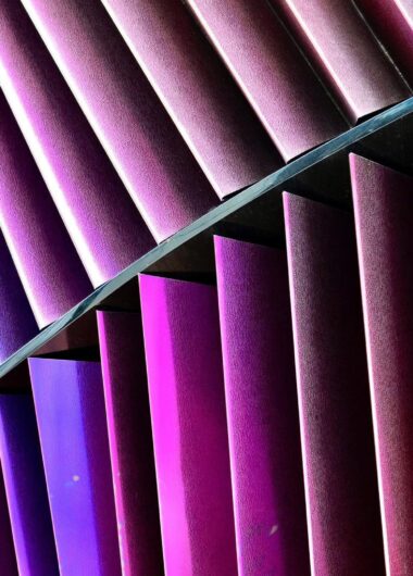 Interview for the Patent Lawyer Magazine with Annya Dushine