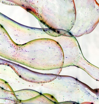 パラダイムシフトを起こす 注目のADCイノベーター  - Companiese to Watch 2024 -