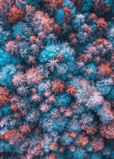 Investing in innovative IP legal strategies during challenging economic times