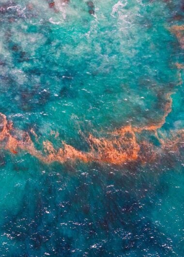 Introducing Research Horizon Navigator 