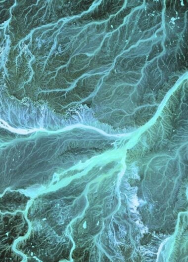 Demystifying AI (and what it means for libraries)