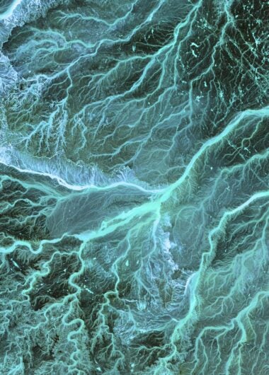 Open research and open access