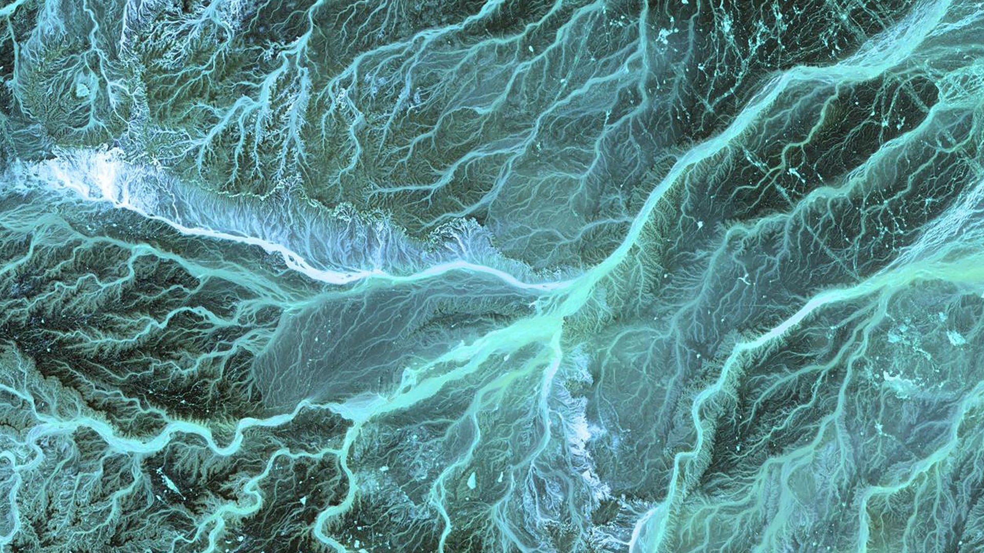 Pharma is placing bigger bets on fewer, more strategic assets/platforms