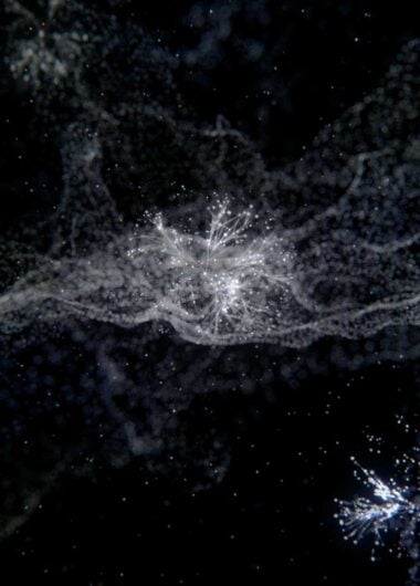 Highly Cited Researchers