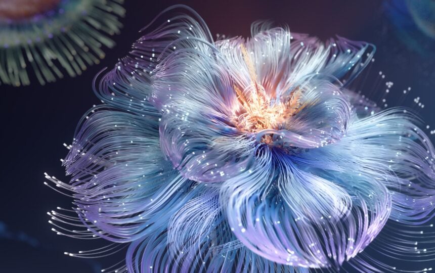 Celebrating global societal impact: Introducing the Citation Laureates 2024