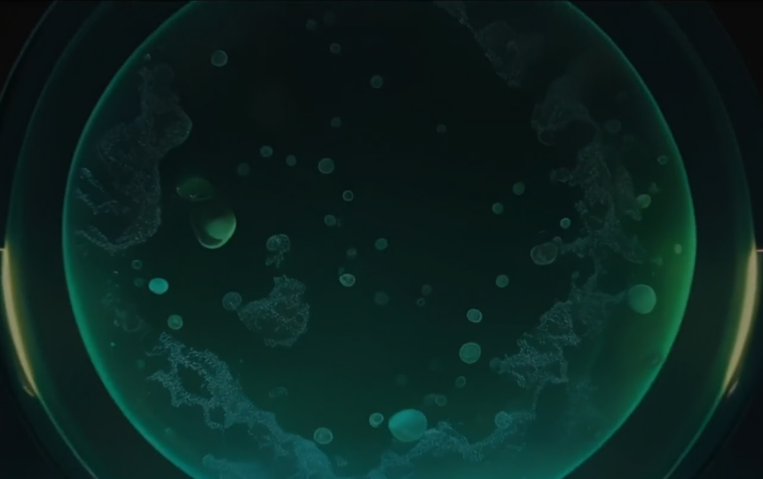 生命科學與醫療健康 